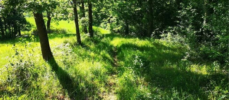 Trail and More in Simorre veut en faire ... plus