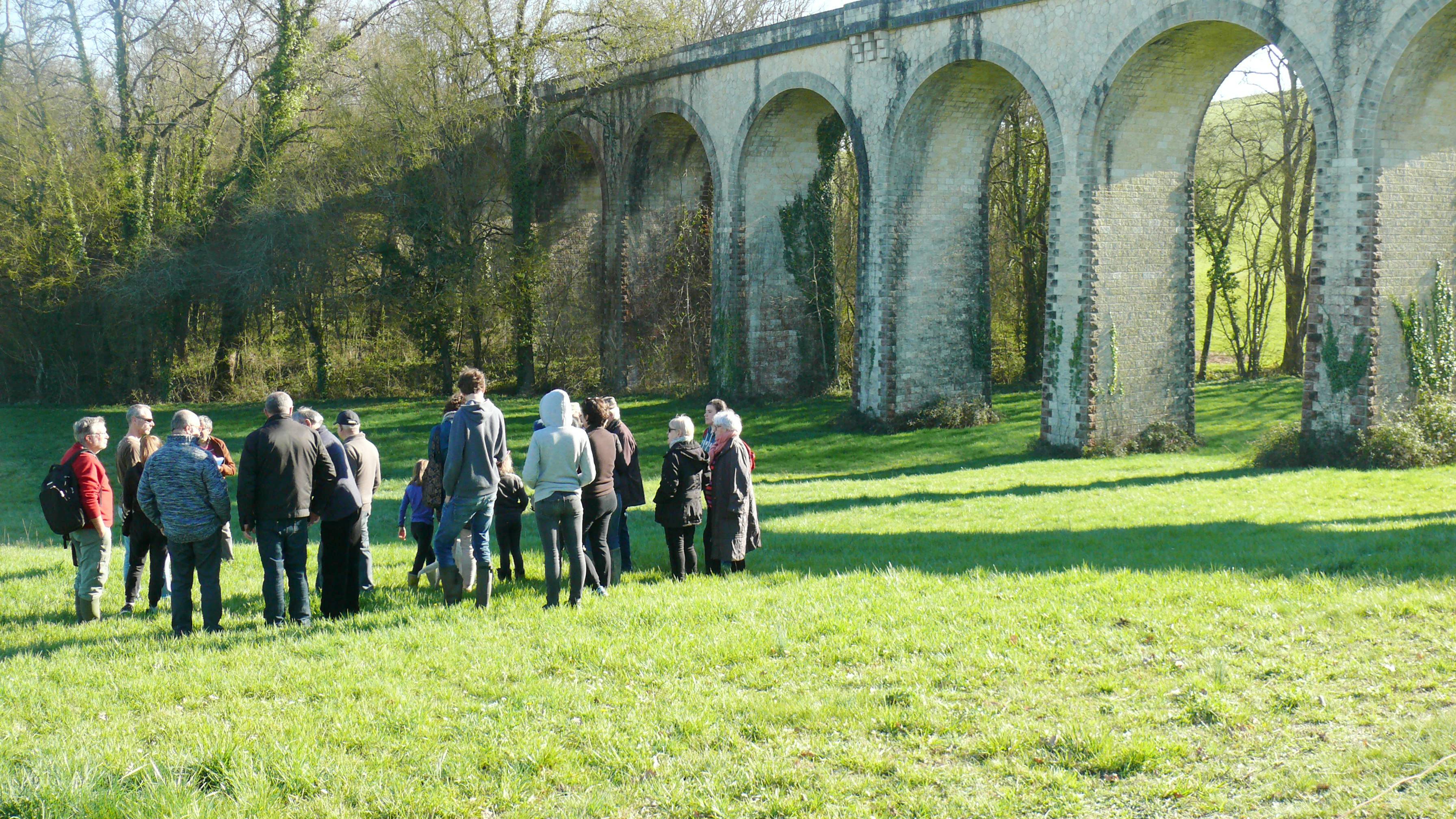 Le viaduc de Castin surplombe la zone humide.