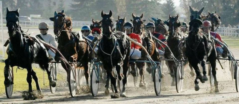 Du trot à l’hippodrome de la Ribère