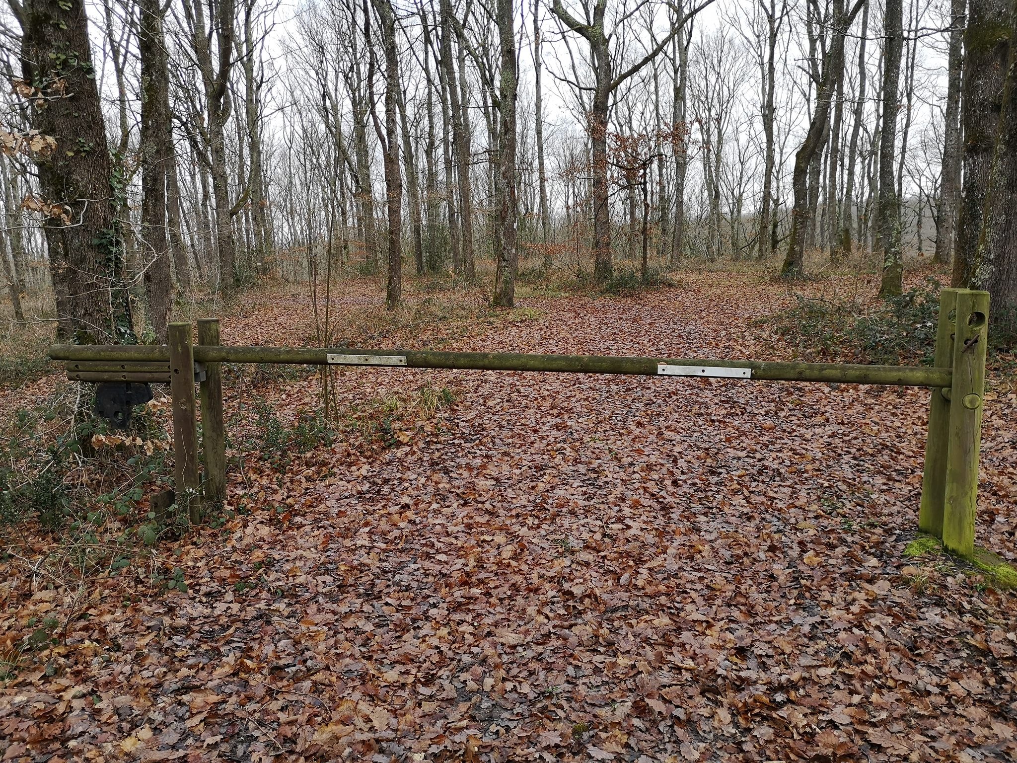 Le départ de la course ? 