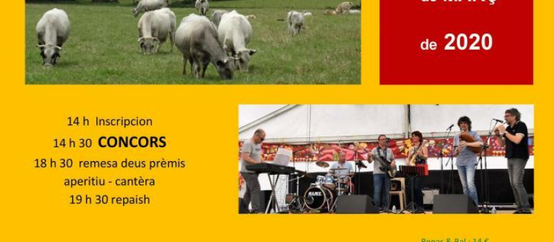 Concours de conteurs en langue occitane