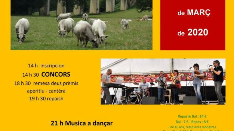Concours de conteurs en langue occitane