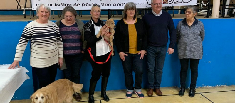 Chapatounes en assemblée