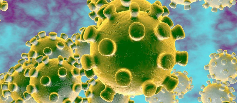 Coronavirus : l'ARS fait le point en Occitanie ce jeudi 19 mars, à 21 heures