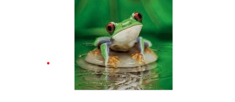 "Au fil de l'eau avec Grenouillette" suite et fin