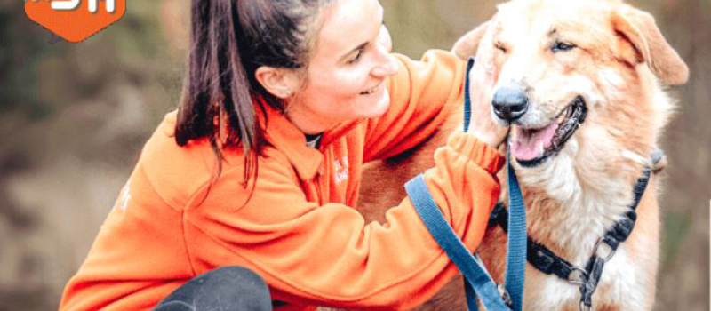 Les animaux ont-ils et transmettent-ils le COVID-19 ?