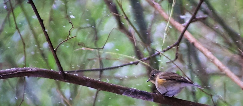 Froid et neige annoncés : deux raisons supplémentaires de rester chez soi !