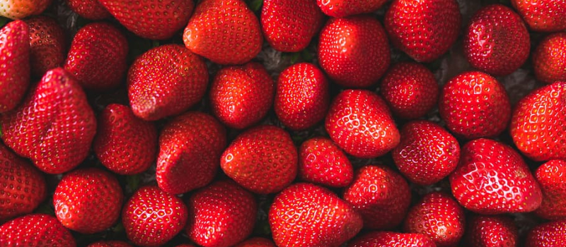 Les fraises de Bars seront sur le marché