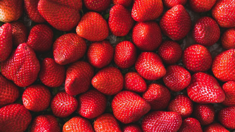 Les fraises de Bars seront sur le marché