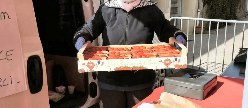 Les fraises de Bars (rectificatif) 