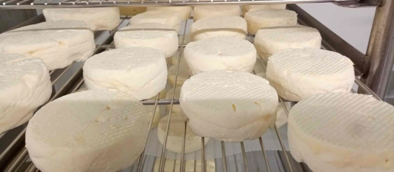 Avez-vous envie de fromage ?