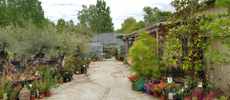 Des jardins qui n'auront jamais été si bien entretenus !