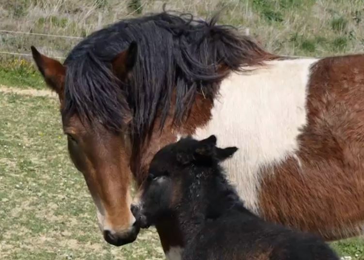 Karlo et sa mère