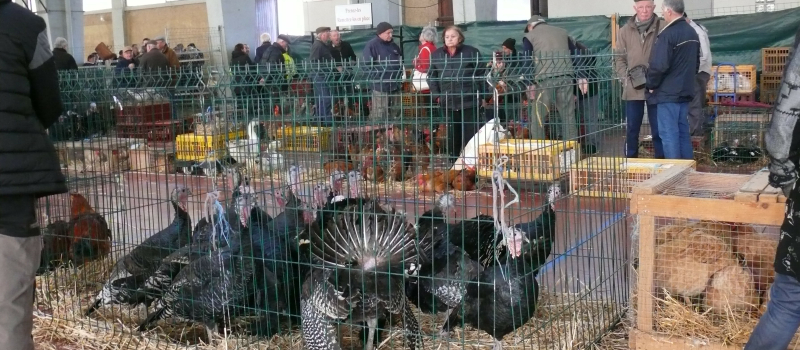 Le marché retrouvé mais sous conditions