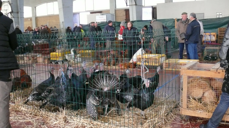 Le marché retrouvé mais sous conditions