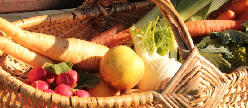 La Chambre d'Agriculture lance "Le Gers vous Drive" 