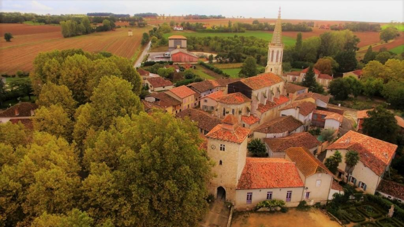 Platane sauvé pour Les Amis du Patrimoine de Sarrant