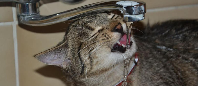 Une eau potable sous haute surveillance