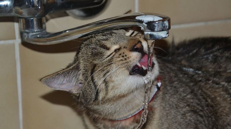 Une eau potable sous haute surveillance