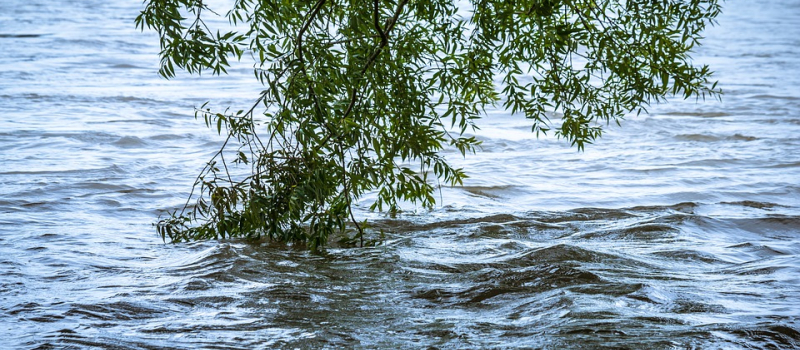 Alerte orange "pluie-inondation"