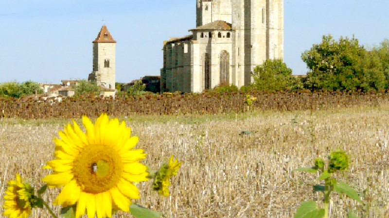 Réouverture de la collégiale
