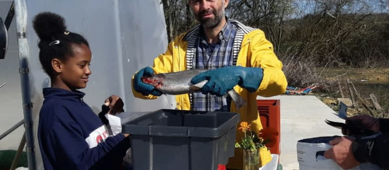 Les truites de Gambas d’Ici ont assuré