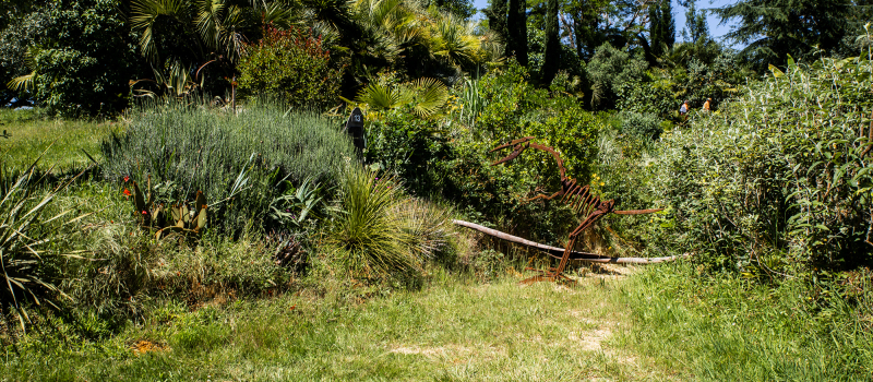 2e promenade dans la Palmeraie enchantée de Bétous 