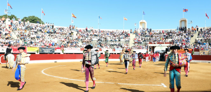 Toros en Vic en casa