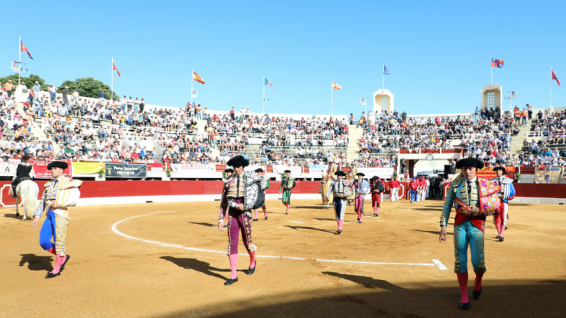 Toros en Vic en casa