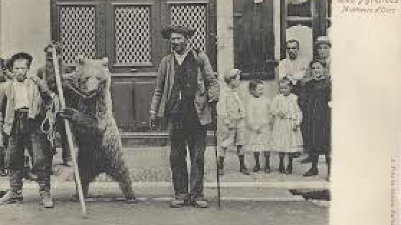 Quand l'ours était bête de foire....
