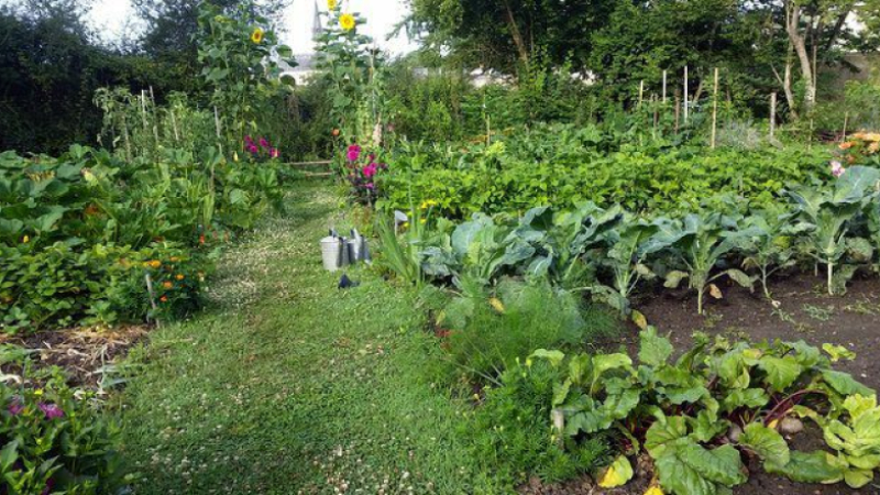 Histoires d'autrefois : le jardin "extraordinaire" du grand-père
