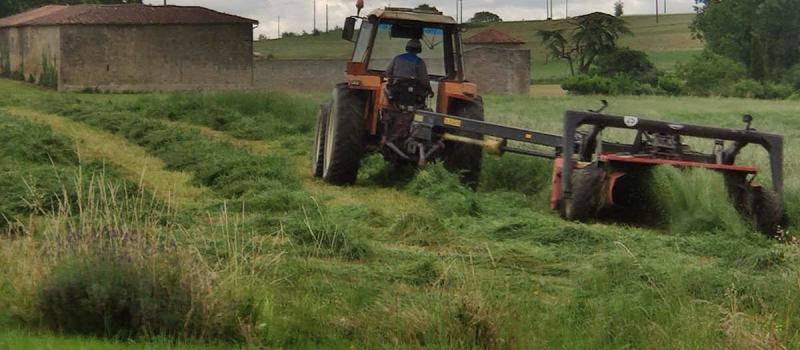 Une meilleure retraite pour les agriculteurs ?