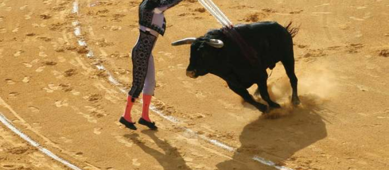 Création de l'Association des Banderilleros et Picadors Français (ABPF)
