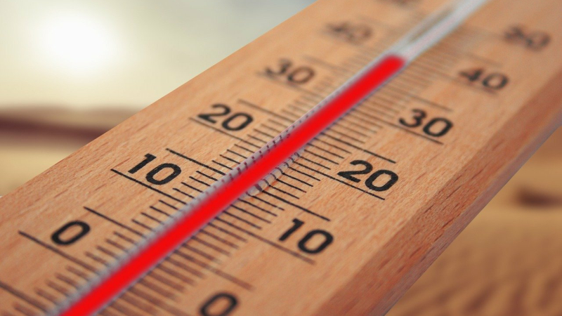 Plan canicule 2020