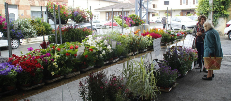Le nouveau marché de Miélan