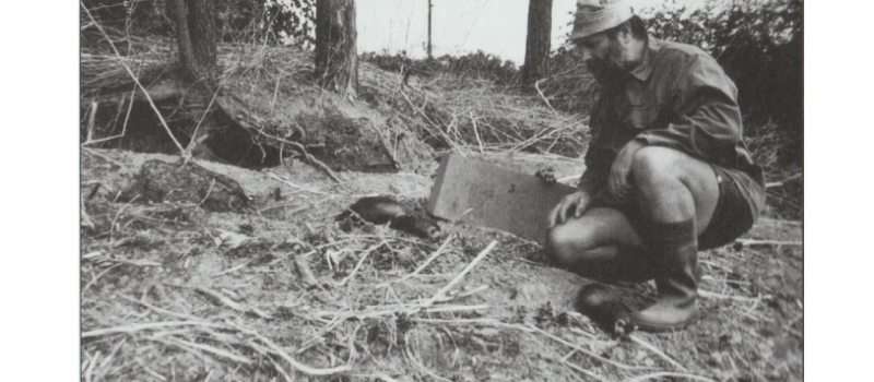 Albert, éleveur de furets