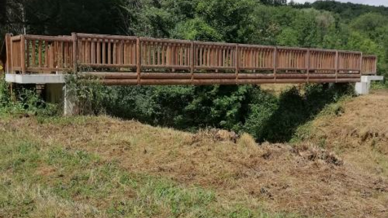 La balade de la semaine : le sentier pédagogique de la forêt domaniale Vic-Roquebrune (PR3)