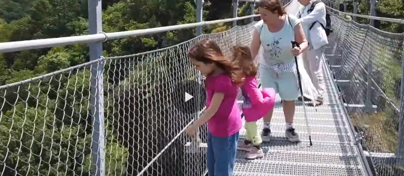 Video - La Passerelle de Mazamet, un succès insolent !