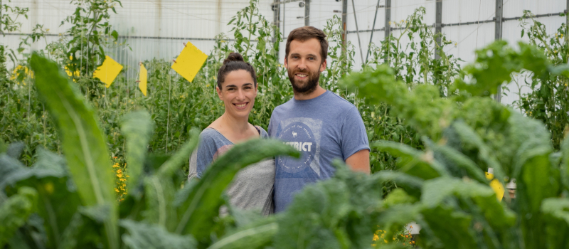 Et si l’on faisait pousser des plantes ou des légumes dans l’eau ?