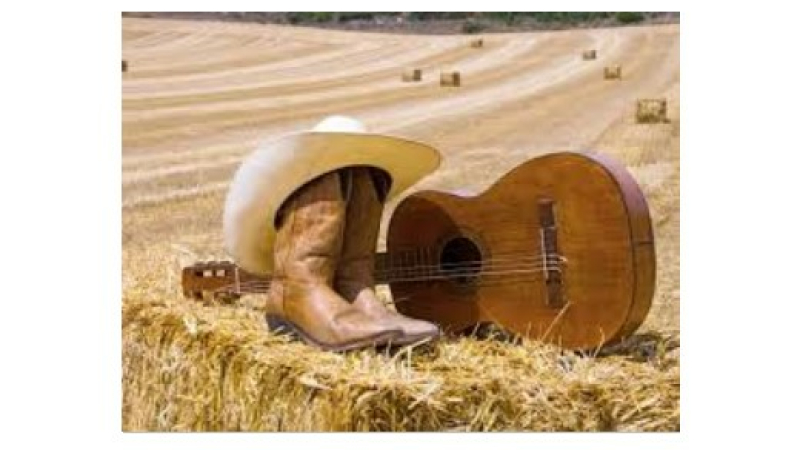 Annulation de la journée country