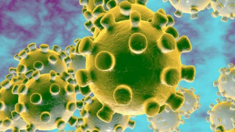 Coronavirus : quatre nouveaux cas confirmés dans le Gers 