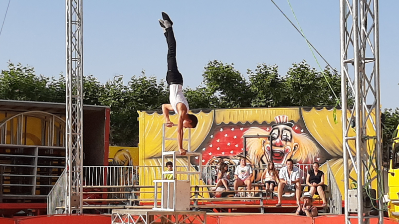 Le cirque franco-belge, une histoire de famille