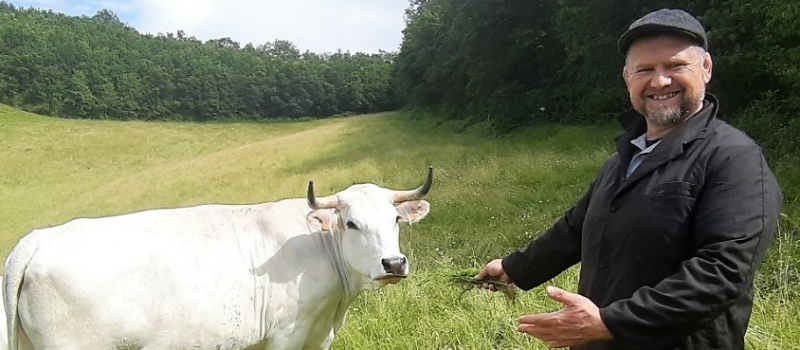 La Mirandaise en vedette