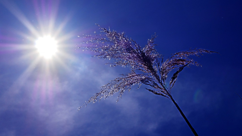 Plan canicule 2020 : inscrivez-vous au CCAS