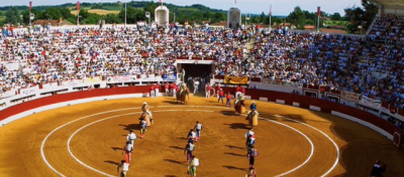 Les visites commentées des arènes sont de retour !