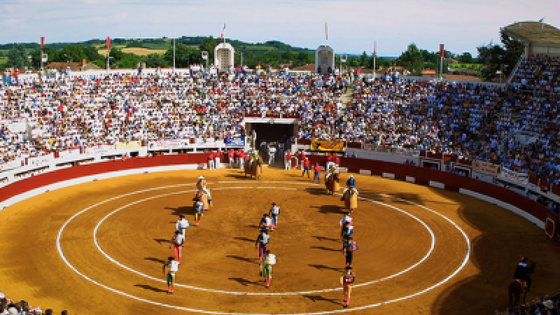 Les visites commentées des arènes sont de retour !