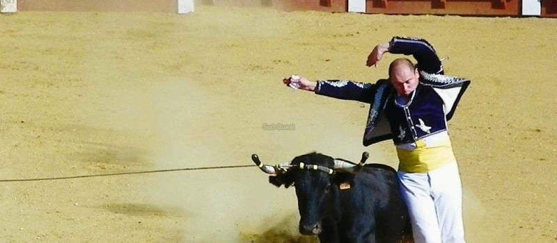 Course landaise festival