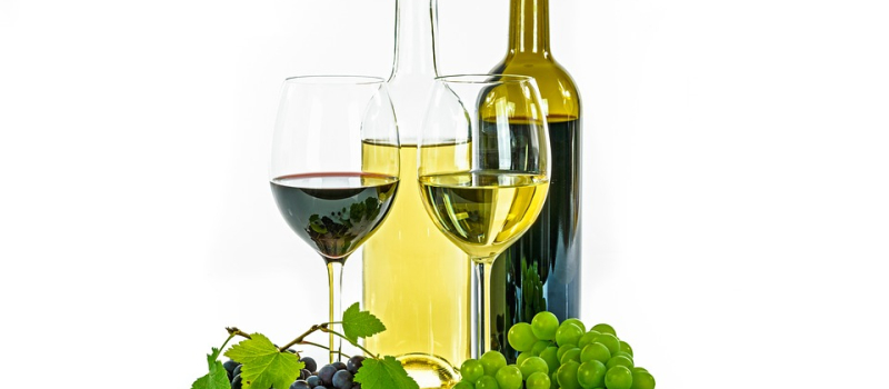 Au frais sous le cloître pour la Foire aux Vins