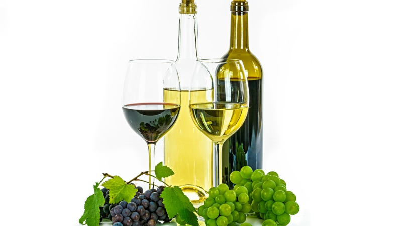 Au frais sous le cloître pour la Foire aux Vins