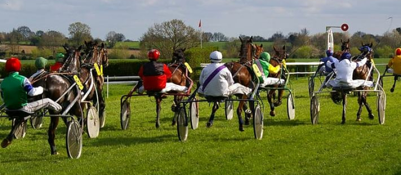 L'hippodrome est en fête, le dimanche 16 août